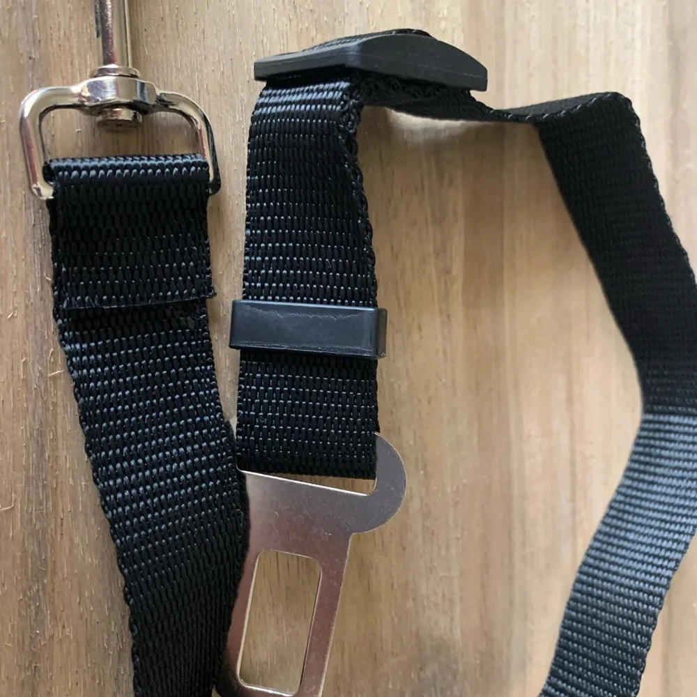 PET SEATBELT